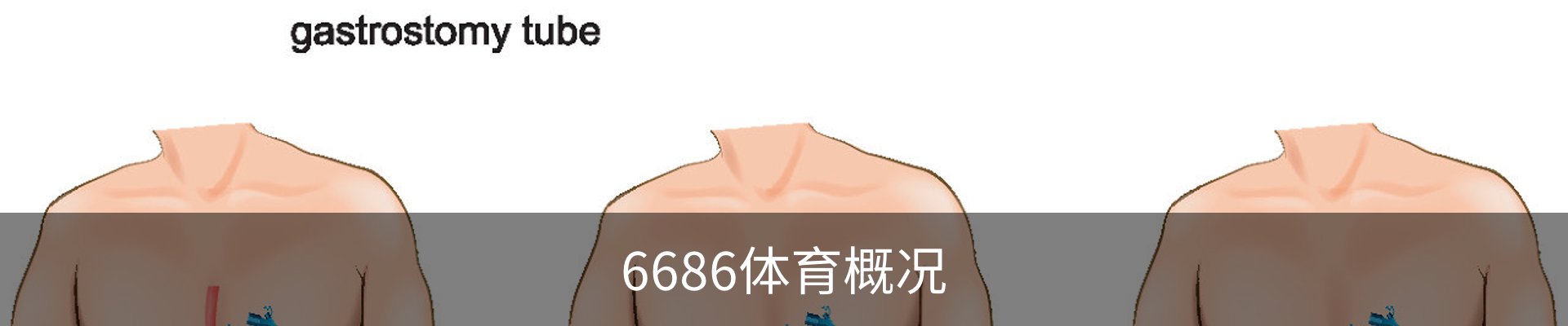 6686体育概况